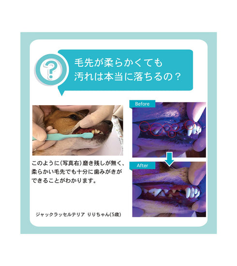 OraBio オーラバイオブラシ レギュラー